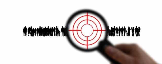 nichos, micronichos, empresas verticales y empresas horizontales