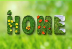Marketing para productos ecológicos. Estrategias para 2025