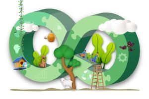 Los productos sostenibles y su estrategia de marketing digital